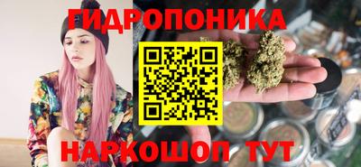стаф Кунгур