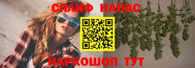 прущие грибы Кулебаки