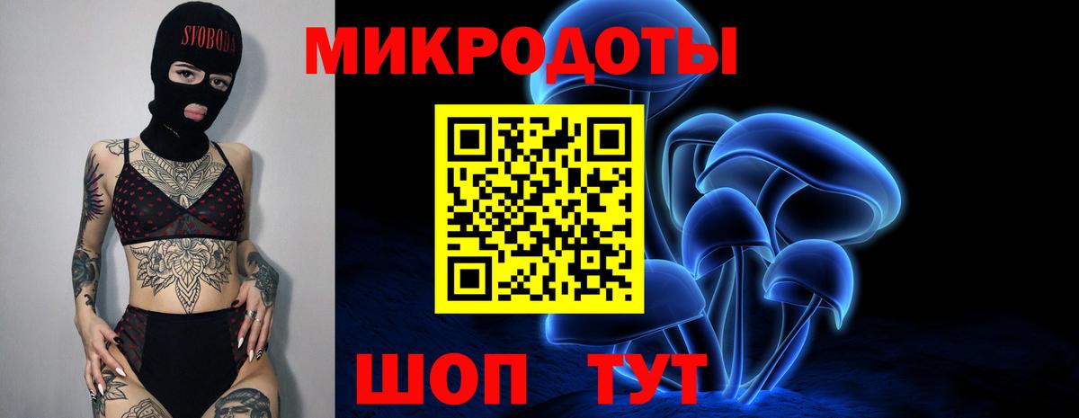 Галлюциногенные грибы Cubensis Гагарин